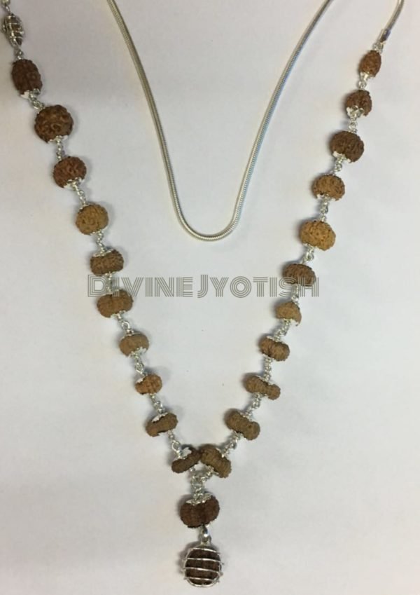 Indra Mala Indonesia