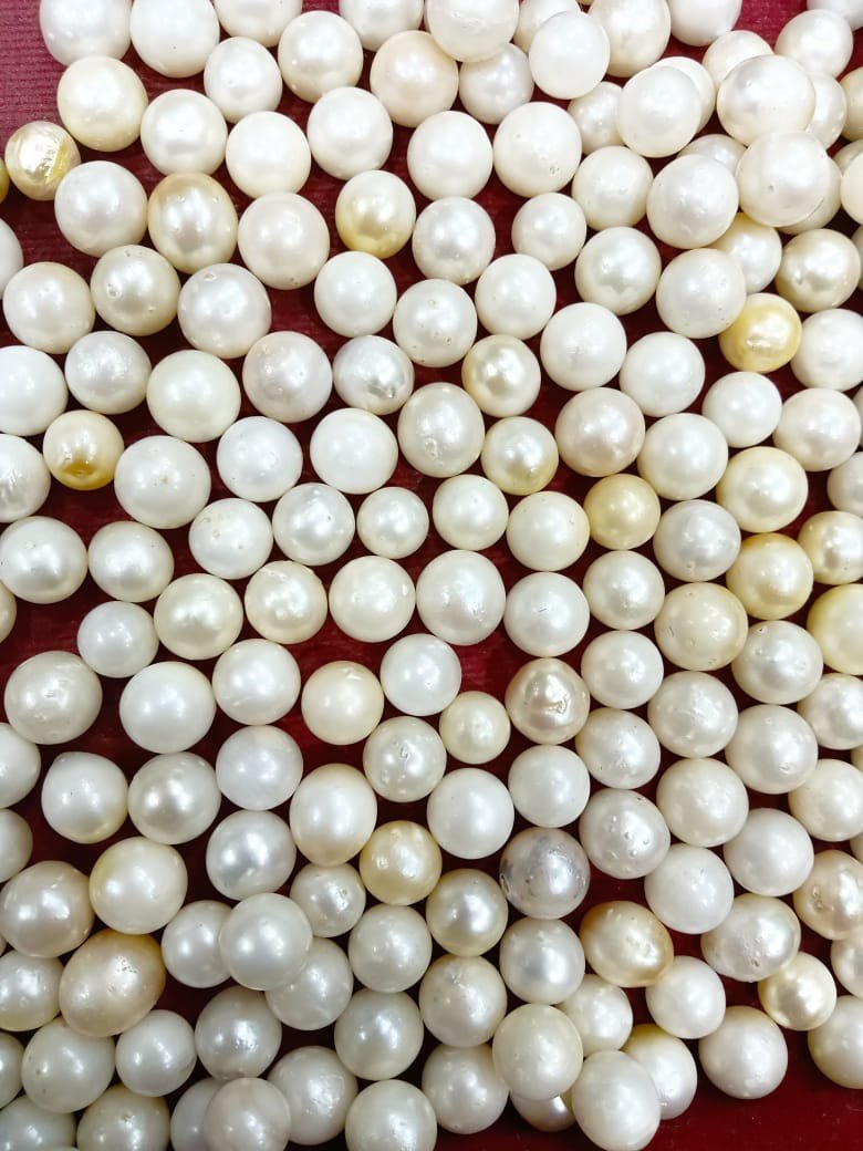 Pearl South Sea White