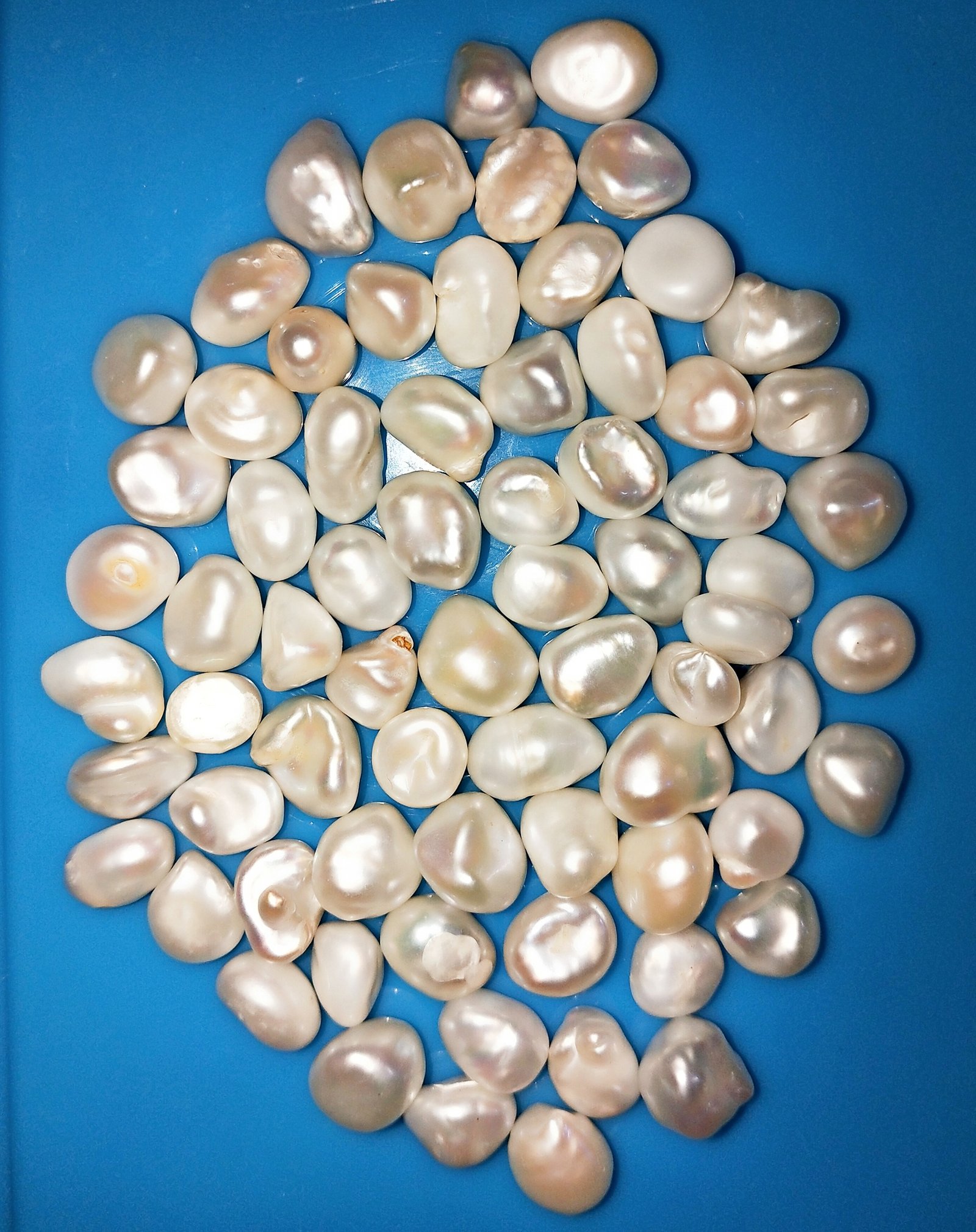Pearl Keshi