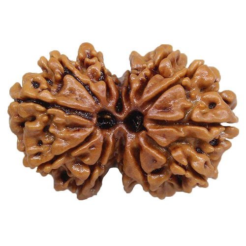 Gauri Shankar Rudraksha Nepali